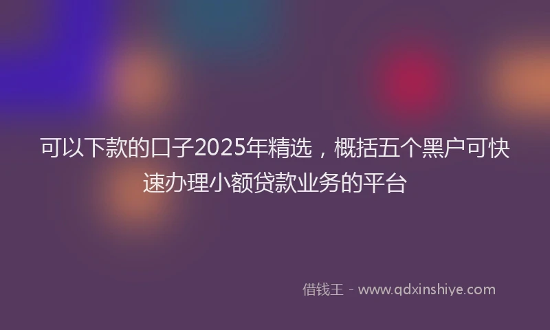 可以下款的口子2025年精选，概括五个黑户可快速办理小额贷款业务的平台