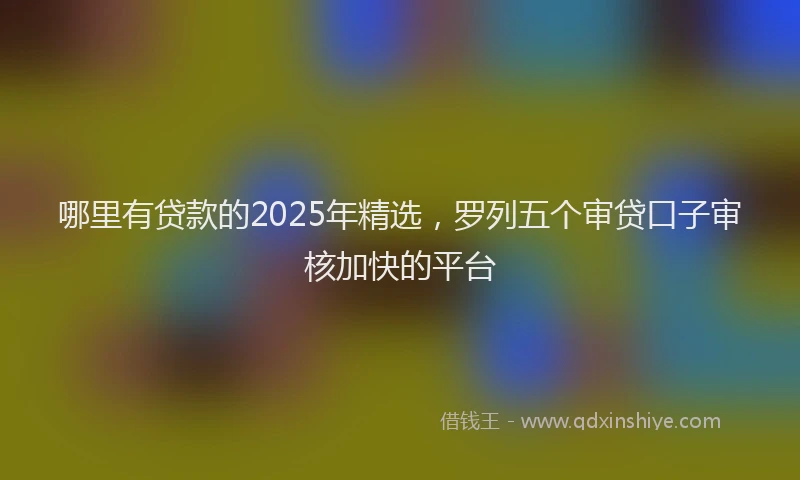 哪里有贷款的2025年精选，罗列五个审贷口子审核加快的平台