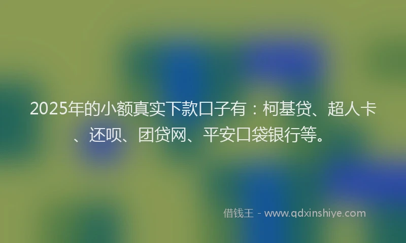 2025年的小额真实下款口子有：柯基贷、超人卡、还呗、团贷网、平安口袋银行等。