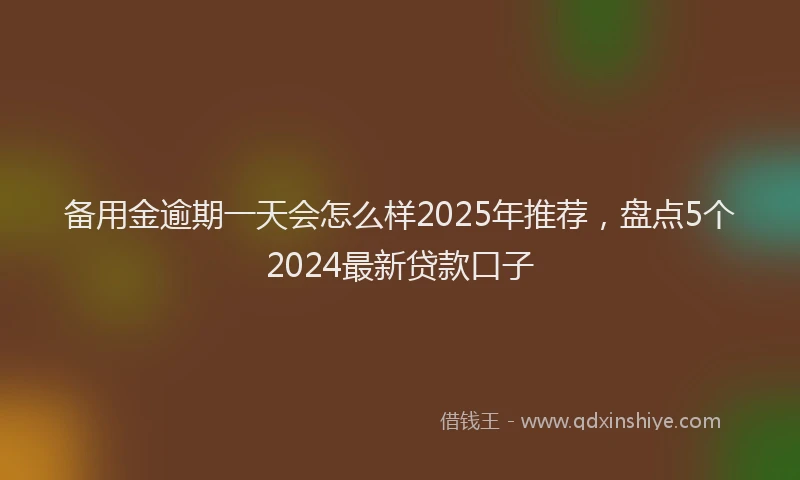 备用金逾期一天会怎么样2025年推荐，盘点5个2024最新贷款口子