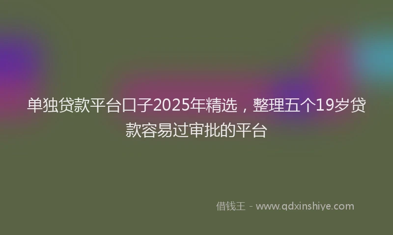 单独贷款平台口子2025年精选，整理五个19岁贷款容易过审批的平台