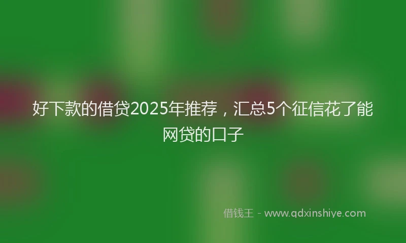 好下款的借贷2025年推荐，汇总5个征信花了能网贷的口子