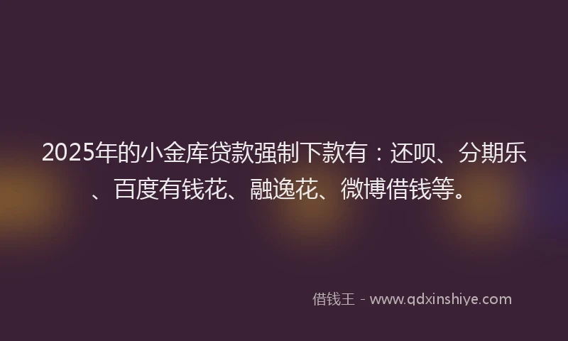 2025年的小金库贷款强制下款有：还呗、分期乐、百度有钱花、融逸花、微博借钱等。