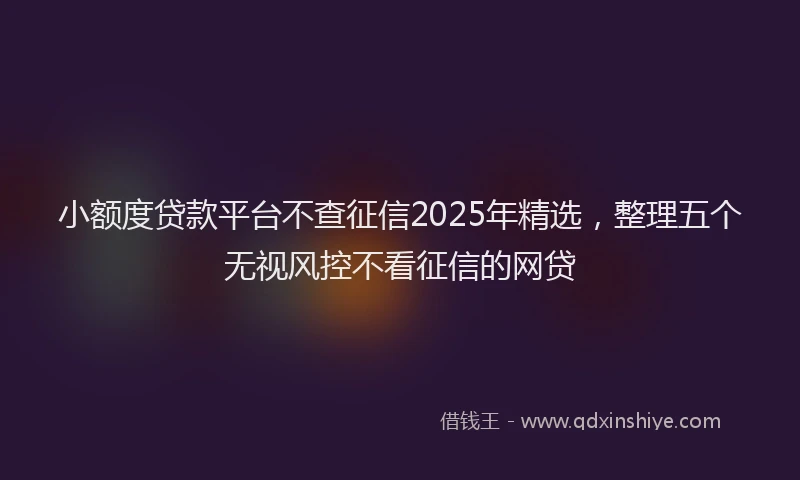 小额度贷款平台不查征信2025年精选，整理五个无视风控不看征信的网贷