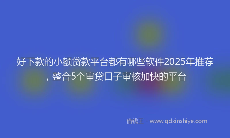 好下款的小额贷款平台都有哪些软件2025年推荐，整合5个审贷口子审核加快的平台