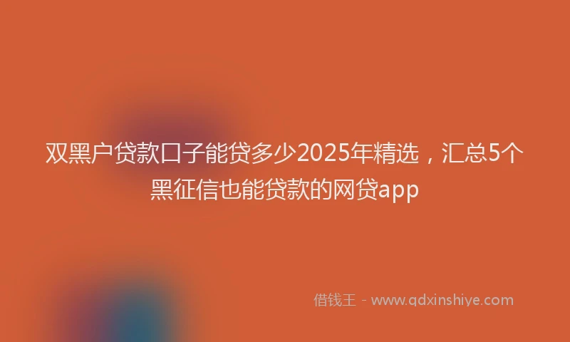 双黑户贷款口子能贷多少2025年精选，汇总5个黑征信也能贷款的网贷app