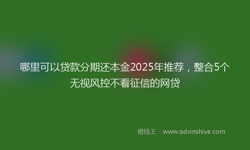 哪里可以贷款分期还本金2025年推荐，整合5个无视风控不看征信的网贷