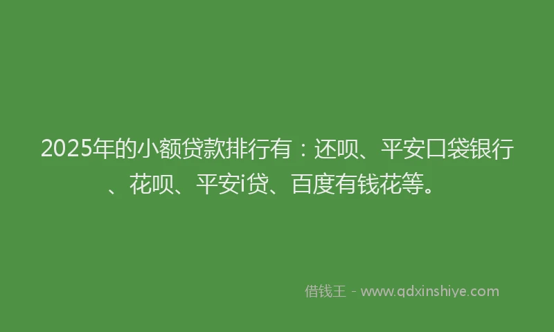 2025年的小额贷款排行有：还呗、平安口袋银行、花呗、平安i贷、百度有钱花等。