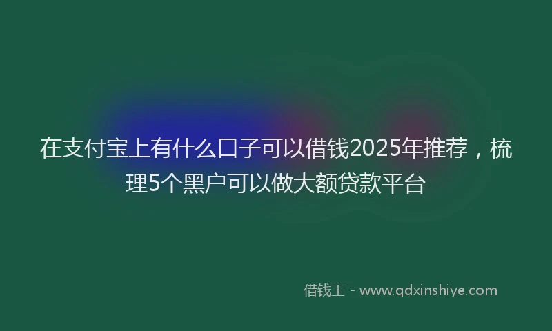 在支付宝上有什么口子可以借钱2025年推荐，梳理5个黑户可以做大额贷款平台