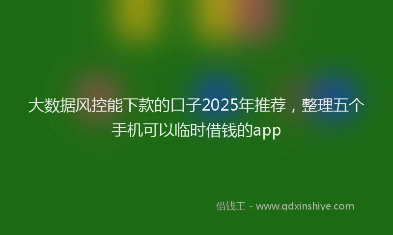 大数据风控能下款的口子2025年推荐，整理五个手机可以临时借钱的app