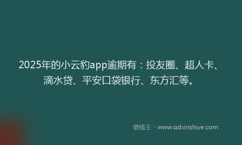 2025年的小云豹app逾期有：投友圈、超人卡、滴水贷、平安口袋银行、东方汇等。