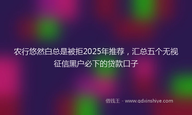 农行悠然白总是被拒2025年推荐，汇总五个无视征信黑户必下的贷款口子