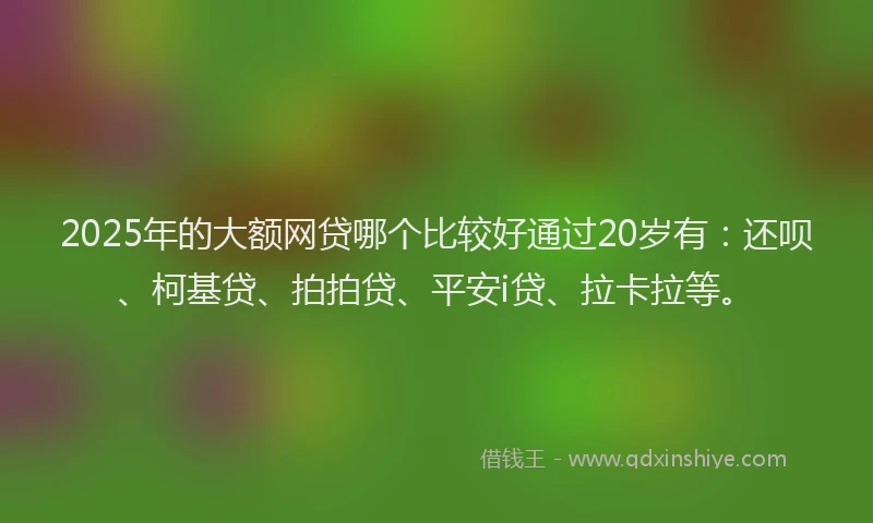 2025年的大额网贷哪个比较好通过20岁有：还呗、柯基贷、拍拍贷、平安i贷、拉卡拉等。