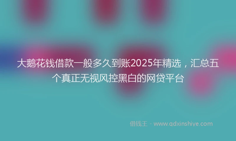 大鹅花钱借款一般多久到账2025年精选，汇总五个真正无视风控黑白的网贷平台