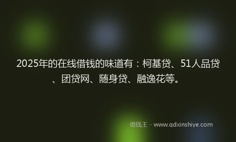 2025年的在线借钱的味道有：柯基贷、51人品贷、团贷网、随身贷、融逸花等。