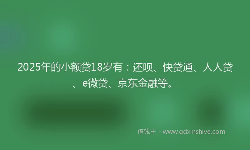 2025年的小额贷18岁有：还呗、快贷通、人人贷、e微贷、京东金融等。