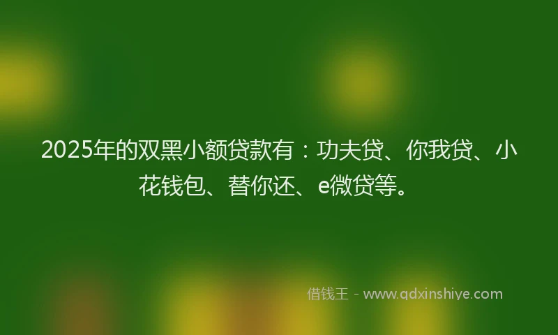 2025年的双黑小额贷款有：功夫贷、你我贷、小花钱包、替你还、e微贷等。