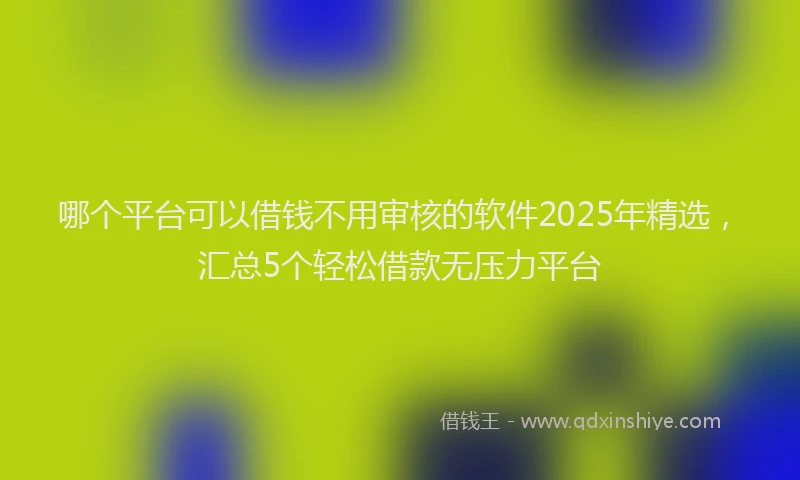 哪个平台可以借钱不用审核的软件2025年精选，汇总5个轻松借款无压力平台