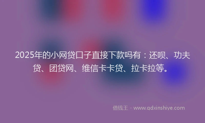 2025年的小网贷口子直接下款吗有：还呗、功夫贷、团贷网、维信卡卡贷、拉卡拉等。