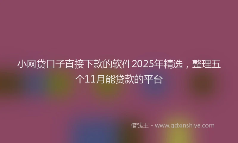 小网贷口子直接下款的软件2025年精选，整理五个11月能贷款的平台