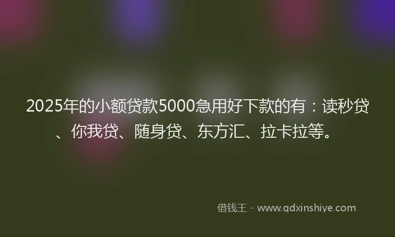 2025年的小额贷款5000急用好下款的有：读秒贷、你我贷、随身贷、东方汇、拉卡拉等。