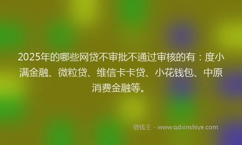 2025年的哪些网贷不审批不通过审核的有：度小满金融、微粒贷、维信卡卡贷、小花钱包、中原消费金融等。