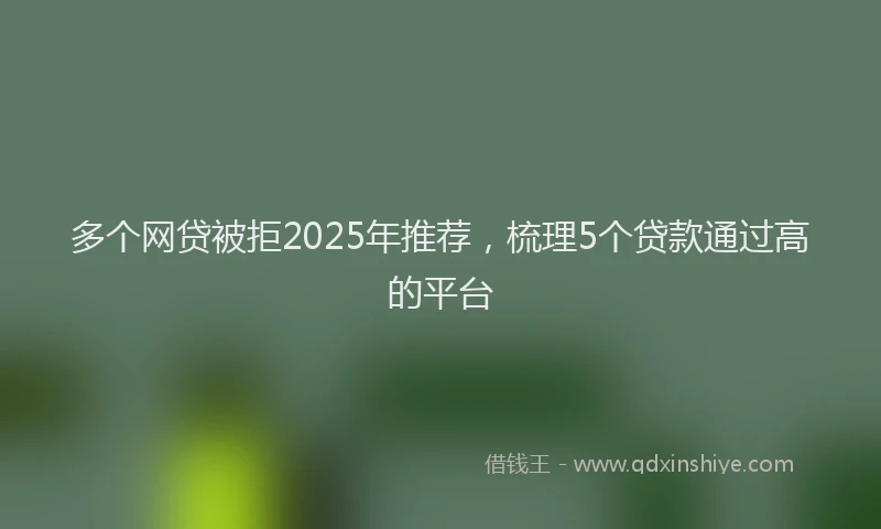多个网贷被拒2025年推荐，梳理5个贷款通过高的平台