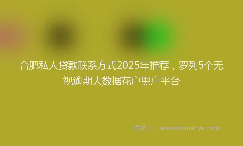 合肥私人贷款联系方式2025年推荐，罗列5个无视逾期大数据花户黑户平台