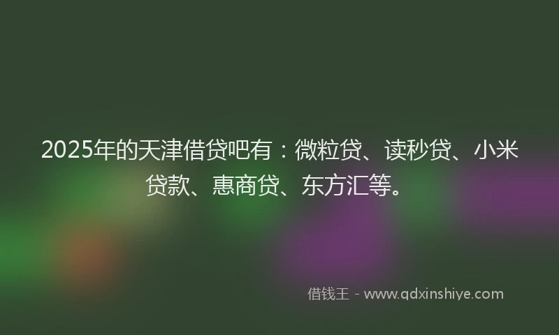 2025年的天津借贷吧有：微粒贷、读秒贷、小米贷款、惠商贷、东方汇等。