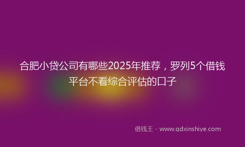 合肥小贷公司有哪些2025年推荐，罗列5个借钱平台不看综合评估的口子