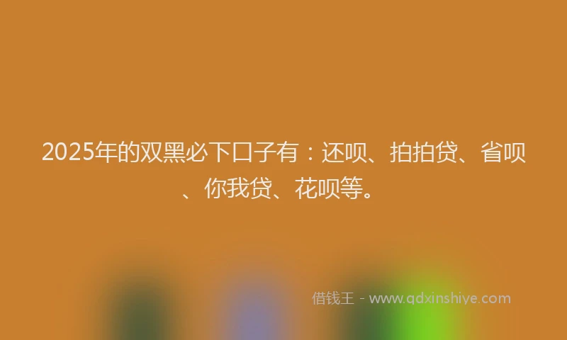 2025年的双黑必下口子有：还呗、拍拍贷、省呗、你我贷、花呗等。