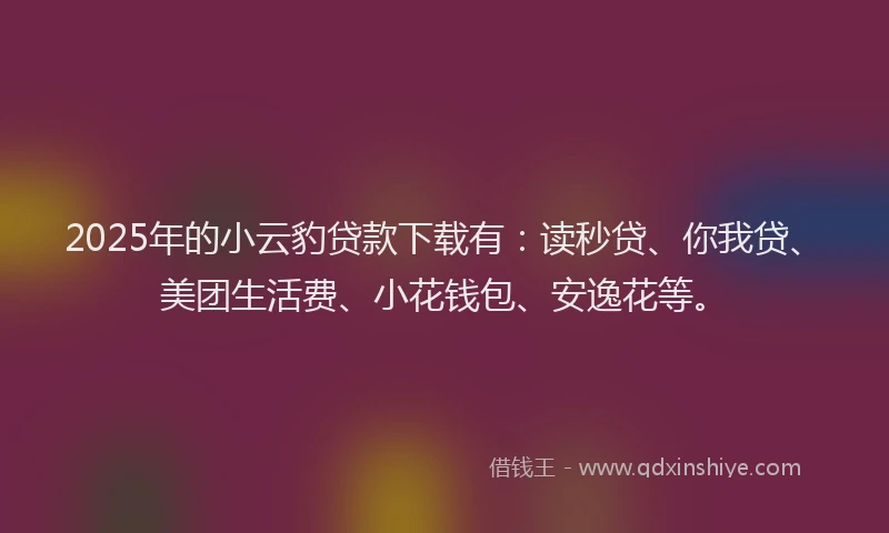 2025年的小云豹贷款下载有：读秒贷、你我贷、美团生活费、小花钱包、安逸花等。