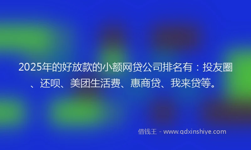 2025年的好放款的小额网贷公司排名有：投友圈、还呗、美团生活费、惠商贷、我来贷等。