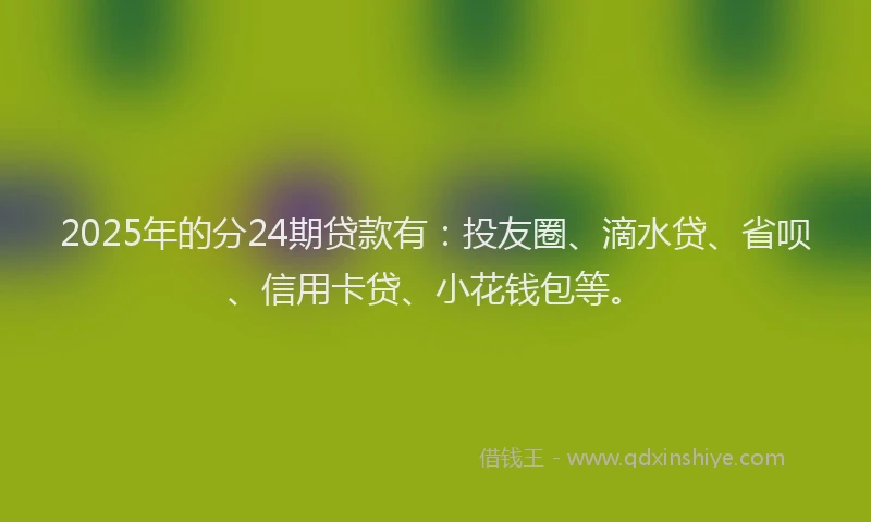 2025年的分24期贷款有：投友圈、滴水贷、省呗、信用卡贷、小花钱包等。