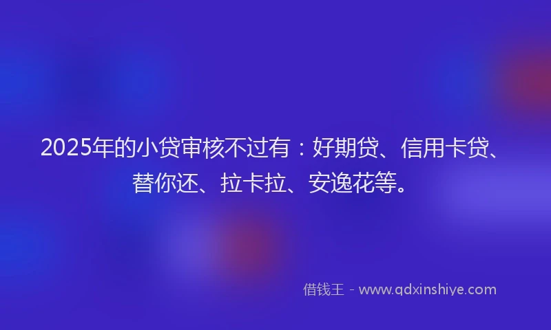 2025年的小贷审核不过有：好期贷、信用卡贷、替你还、拉卡拉、安逸花等。