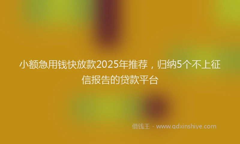小额急用钱快放款2025年推荐，归纳5个不上征信报告的贷款平台