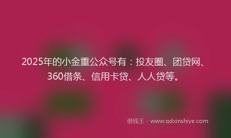 2025年的小金重公众号有：投友圈、团贷网、360借条、信用卡贷、人人贷等。