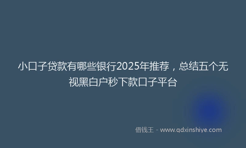 小口子贷款有哪些银行2025年推荐，总结五个无视黑白户秒下款口子平台