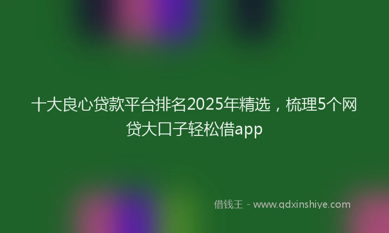 十大良心贷款平台排名2025年精选，梳理5个网贷大口子轻松借app