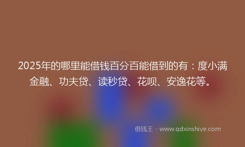 2025年的哪里能借钱百分百能借到的有：度小满金融、功夫贷、读秒贷、花呗、安逸花等。