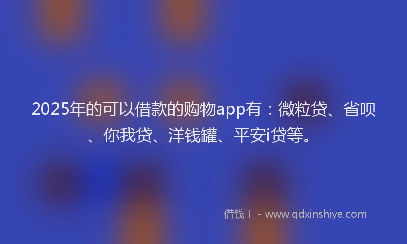 2025年的可以借款的购物app有：微粒贷、省呗、你我贷、洋钱罐、平安i贷等。