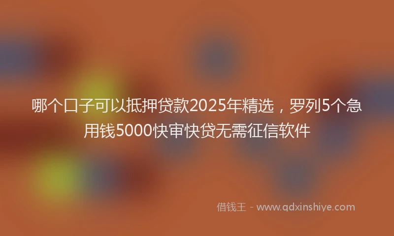 哪个口子可以抵押贷款2025年精选，罗列5个急用钱5000快审快贷无需征信软件