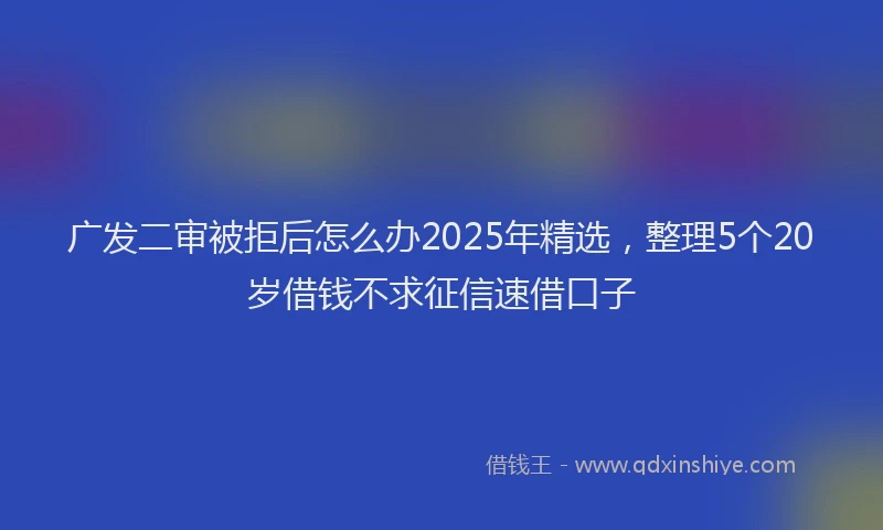 广发二审被拒后怎么办2025年精选，整理5个20岁借钱不求征信速借口子