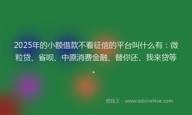 2025年的小额借款不看征信的平台叫什么有：微粒贷、省呗、中原消费金融、替你还、我来贷等。