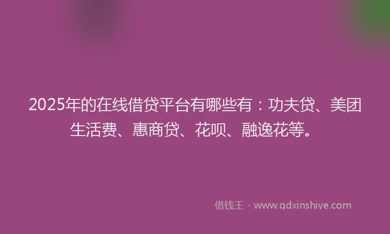 2025年的在线借贷平台有哪些有：功夫贷、美团生活费、惠商贷、花呗、融逸花等。