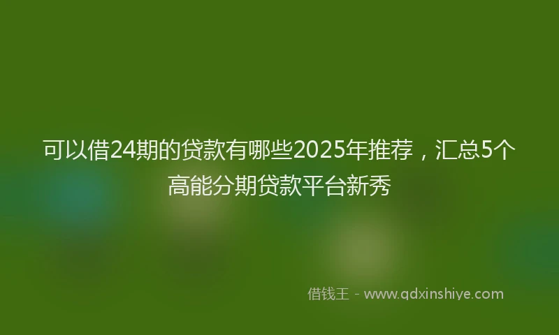 可以借24期的贷款有哪些2025年推荐，汇总5个高能分期贷款平台新秀