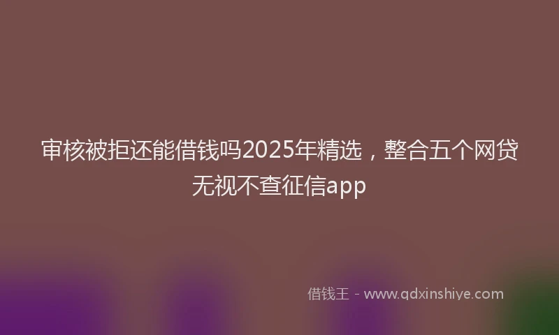 审核被拒还能借钱吗2025年精选，整合五个网贷无视不查征信app