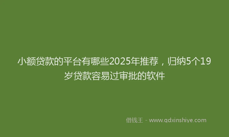 小额贷款的平台有哪些2025年推荐，归纳5个19岁贷款容易过审批的软件
