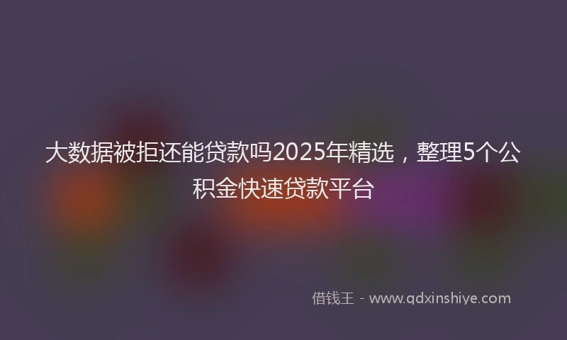 大数据被拒还能贷款吗2025年精选，整理5个公积金快速贷款平台
