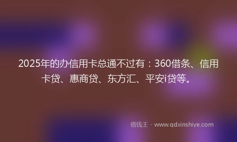 2025年的办信用卡总通不过有：360借条、信用卡贷、惠商贷、东方汇、平安i贷等。